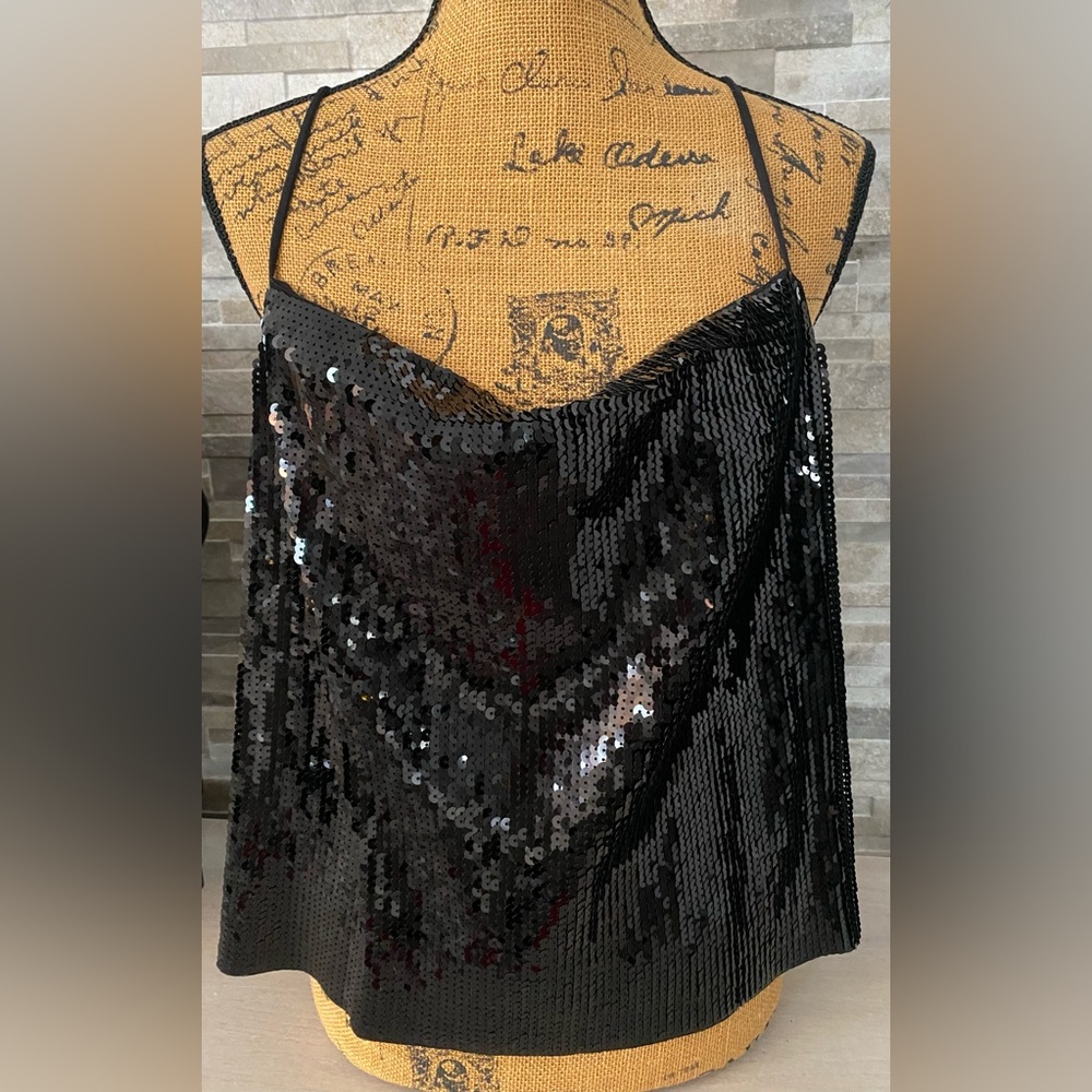 Express Sequin Cowl Neck Top